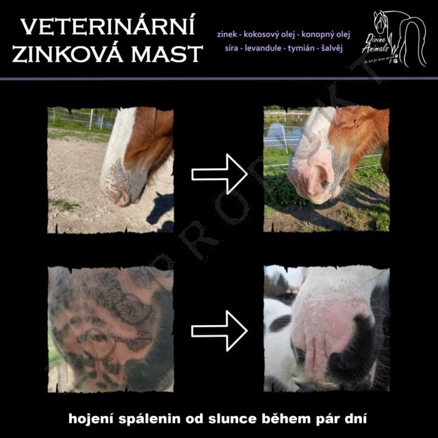 Velký obrázek Veterinární zinková mast pro koně a psy 100ml