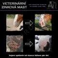 Náhled obrázku Veterinární zinková mast pro koně a psy 100ml