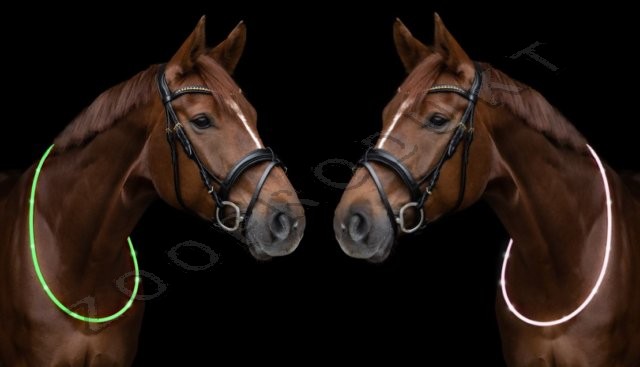 Velký obrázek Reflexní led pásek na krk koně 2 režimy dobíjecí
