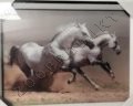 Náhled obrázku Obraz 3D koně různý motiv podle aktuální zásoby