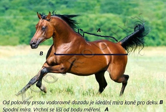 Velký obrázek Deka stájová pony Tattini zimní i přepravní 220gr