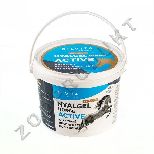Velký obrázek Hyalgel Horse Active elektrolyt i kolagen pro doplnění vypocených