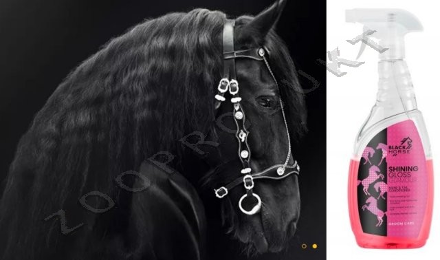 Velký obrázek Black Horse Shining Gloss Glamour kondicioner ovoce