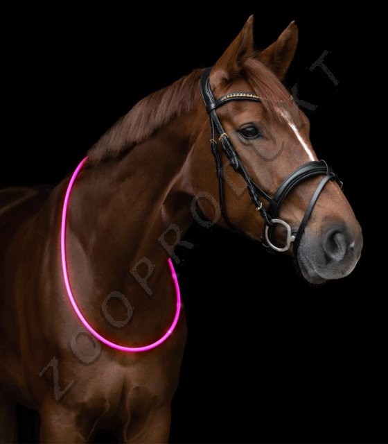 Velký obrázek Reflexní led pásek na krk koně 2 režimy dobíjecí