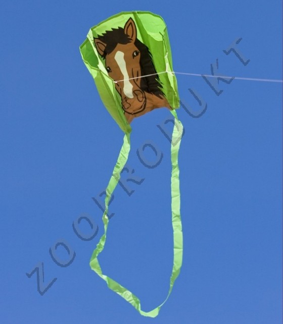 Obrázky ke zboží: Kůň létající dráček na provázku 20m v batůžku