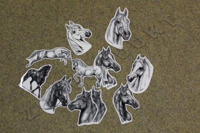 Velký obrázek Samolepka koně kresba různých plemen a provedení